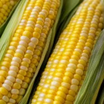 Delicious freshly grilled corn on the cob served with butter and herbs